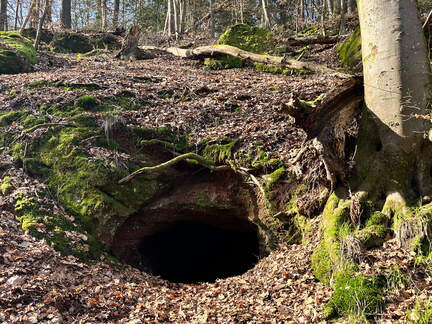 24-02-28 13-43-45 8779